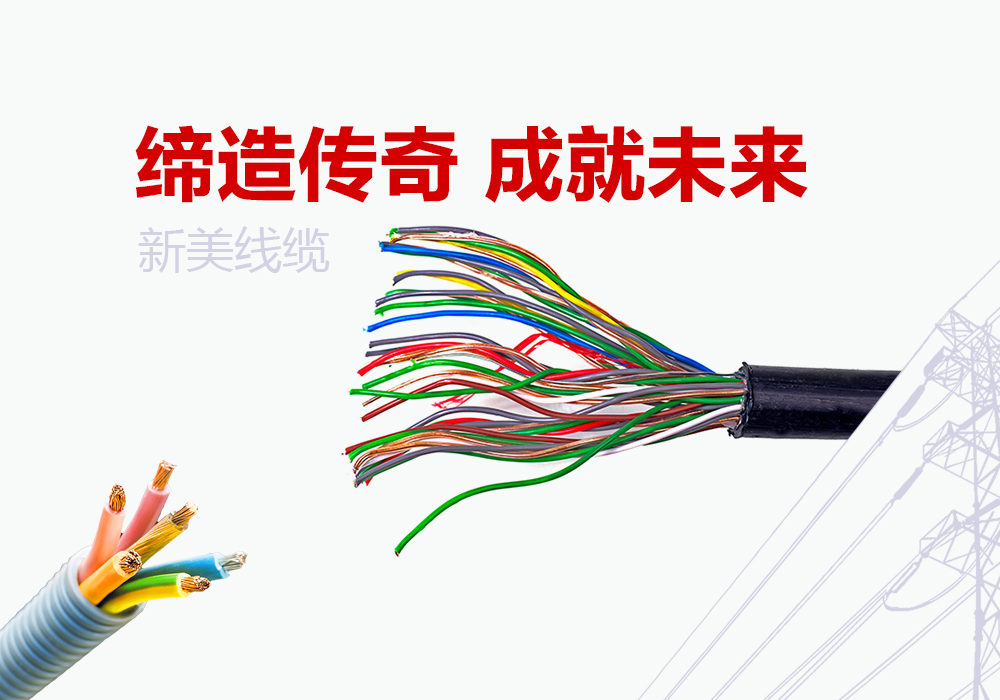 成都新美线缆有限公司项目案例
